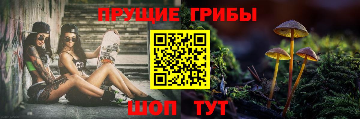 Электросталь  Галлюциногенные грибы ЛСД  Галлюциногенные грибы MAGIC MUSHROOMS  Вход с VPN 